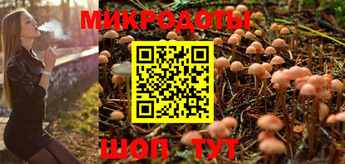 Псилоцибиновые грибы GOLDEN TEACHER  Галлюциногенные грибы Magic Shrooms  как найти наркотики  Бийск  Вход с VPN 