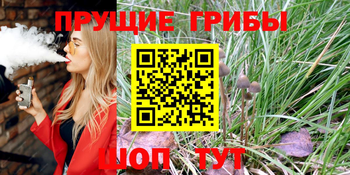 Галлюциногенные грибы Psilocybe Бийск
